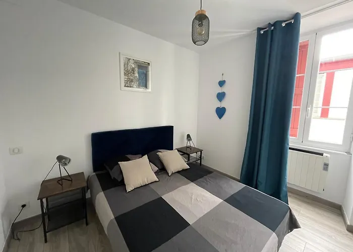 Appartement Hyper Centre Historique Calme En Mode A Pied *